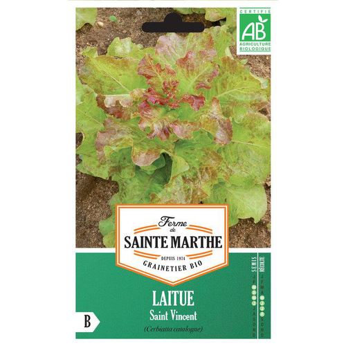 Visuel 1 du produit Graines de Laitue Saint Vincent bio Ferme de Sainte Marthe - 500 graines à semer