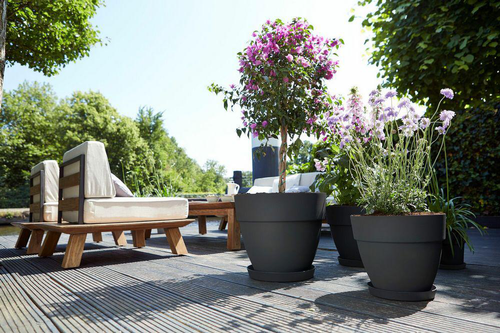 Visuel 7 du produit Pot vibia campana rond Elho de 3,2 L coloris noir Ø 20 x H 16,7 cm