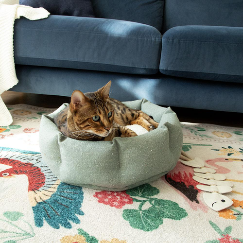 Visuel 10 du produit Corbeille pour chat en tissu beige Scruffs Eco Eden - 45 cm