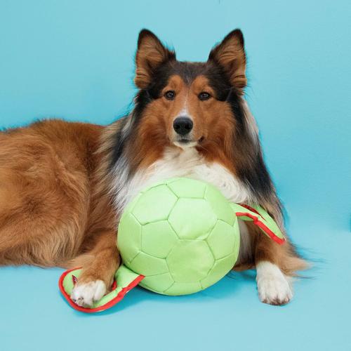 Visuel 3 du produit Jouet pour chien coloris multicolore à tirer Coockoo Power Pully - Taille M 35 x 17 x 17 cm