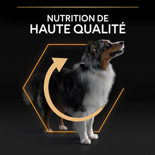 Visuel 9 du produit Croquettes pour chien chien adulte taille moyenne Proplan - 16,5 kg