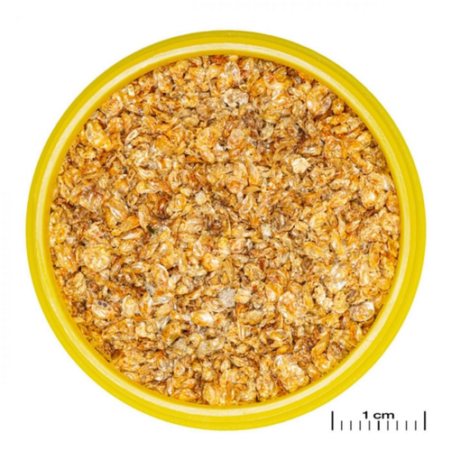 Visuel 2 du produit Nourriture pour poissons ProNovo Daph S en granulés - JBL - petit volume 100ml