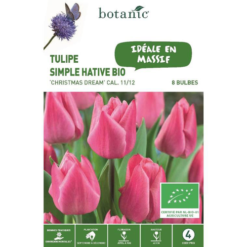 Visuel 1 du produit Tulipe triomphe christmas dream bio rose botanic® - 8 bulbes