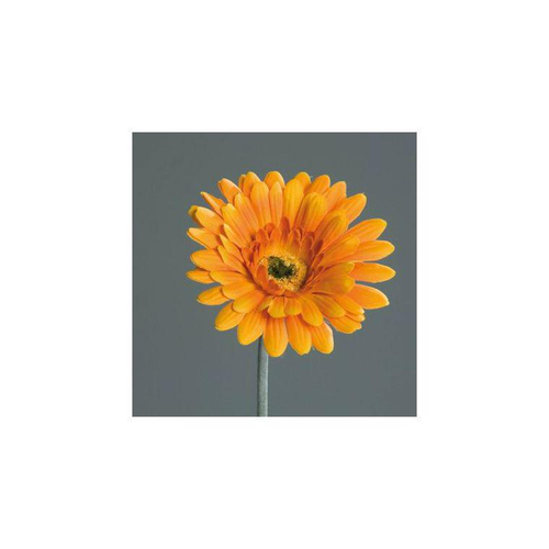 Visuel 1 du produit Tige de Gerbera décoratif orange - 56 cm