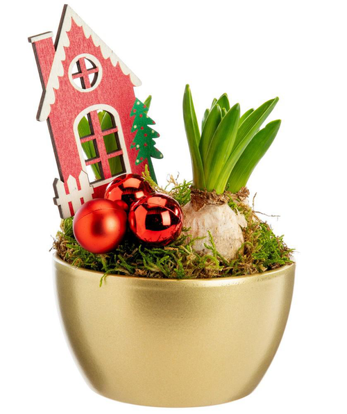 Visuel 1 du produit Jacinthe x 3 coupe coloris or - Ø 13,5 cm