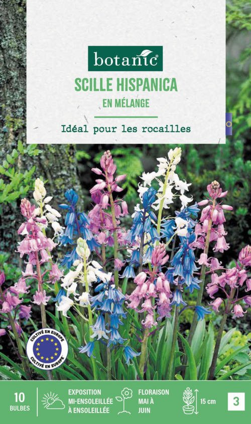 Visuel 1 du produit Scilla hispanica en mélange botanic® - 10 bulbes