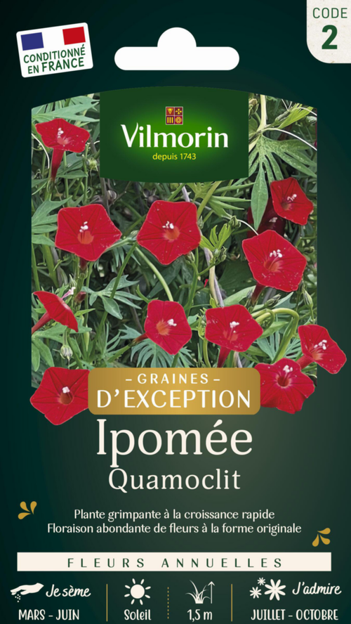 Visuel 1 du produit Graines de Ipomée Quamoclit Vilmorin graines d’exception - graines à semer