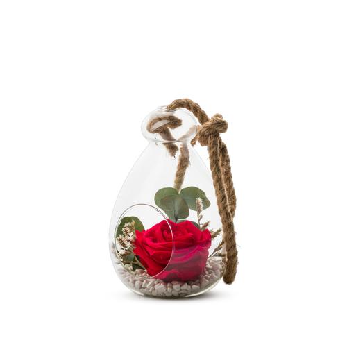 Visuel 1 du produit Verrine de végétaux stabilisés rose rouge et eucalyptus avec corde Naturalys Globe - Ø 12 x H 18 cm