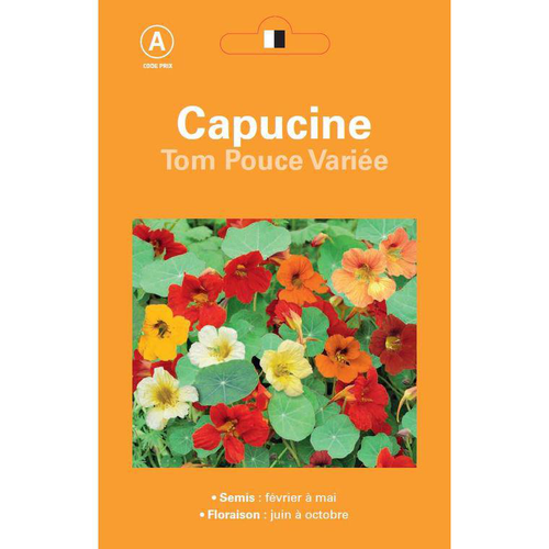 Visuel 1 du produit Graines de Capucine Tom Pouce variée - graines à semer