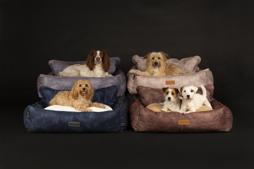 Visuel 4 du produit Corbeille pour chien bleu Kensington Scruffs – Taille M