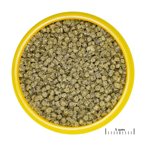 Visuel 3 du produit Aliment en granulés pour Axolotl JBL Pronovo lotl grano M – 250 ml