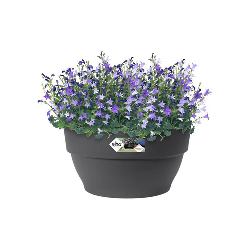 Visuel 2 du produit Pot coupe en plastique gris anthracite Elho Vibia - Ø 34 cm