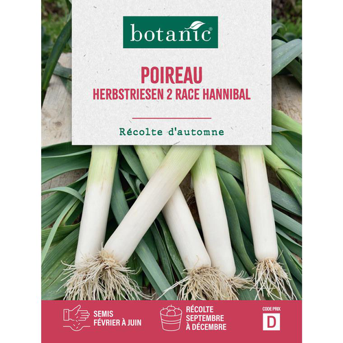 Visuel 1 du produit Graines de poireau herbstriesen 2 race hannibal botanic® - graines herbstriesen semer