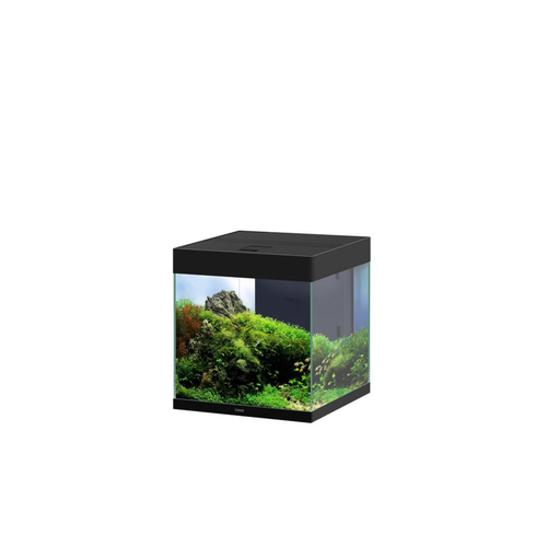 Visuel 2 du produit Aquarium coloris noir Ciano Émotions Pro 40 Mystic - 52 L 40 x 40 x 43 cm