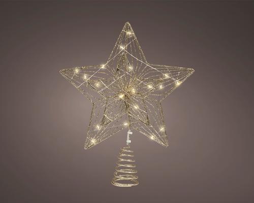 Visuel 1 du produit Cimier intérieur or à micro LED blanc chaud - 20 x 30 cm