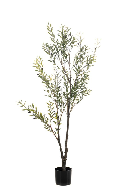 Visuel 1 du produit Olivier artificiel en pot - Ø 60 x H 140 cm