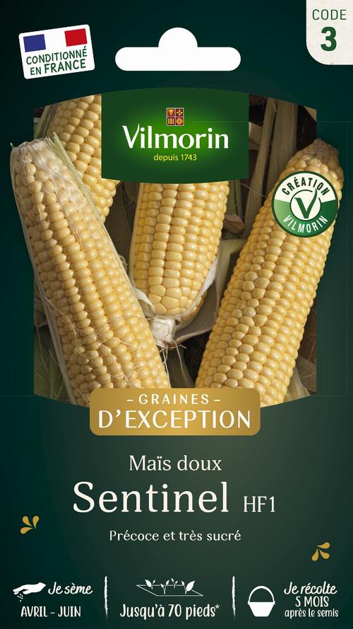 Visuel 1 du produit Graines de maïs sentinel coloris jaune Vilmorin jardin - graines à semer