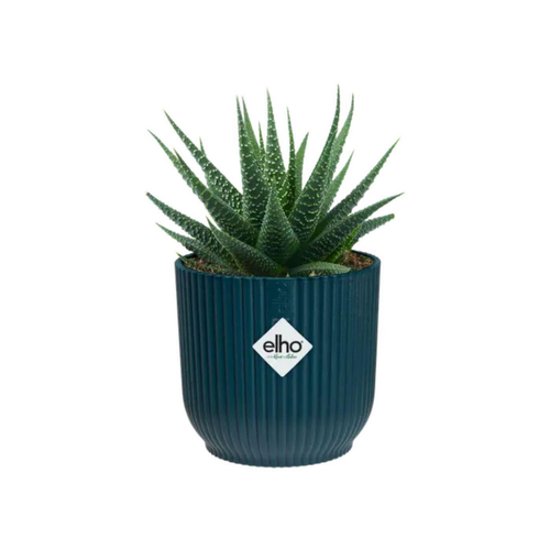 Visuel 2 du produit Cache pot bleu foncé Elho Vibes fold mini - Ø 9 cm