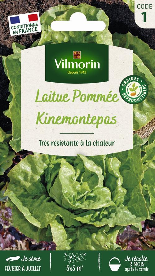 Visuel 1 du produit Graines de laitue pommée kinemontepas coloris vert Vilmorin jardin - graines à semer