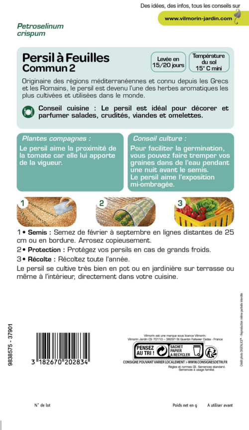 Visuel 2 du produit Persil Commun Vilmorin - graines à semer