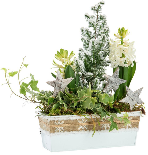 Visuel 1 du produit Composition jardinette pot zinc blanc décor ruban rustique - 22 cm