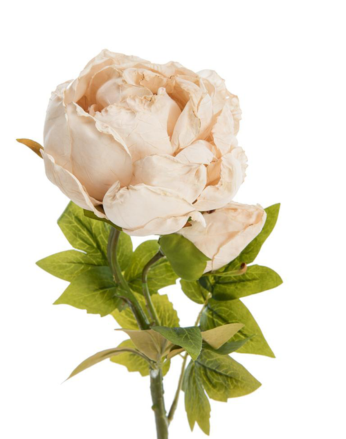 Visuel 2 du produit Fleur artificielle en papier tige de pivoine coloris beige - H 62 cm
