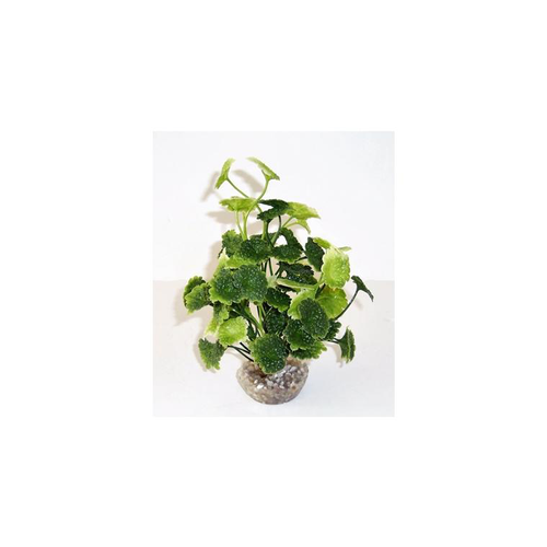 Visuel 1 du produit Hydrocolite vert en plastique 19 cm