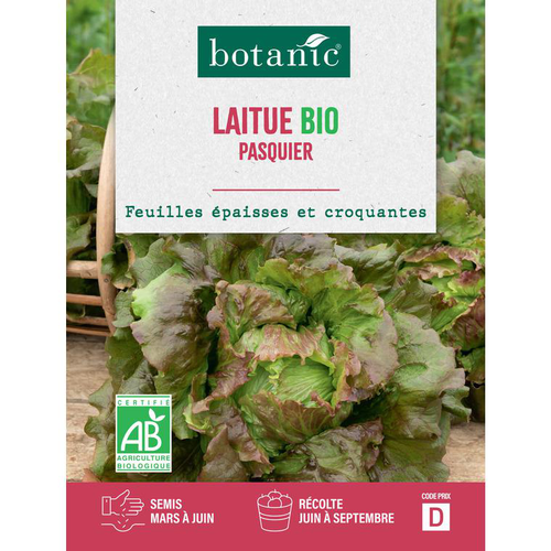 Visuel 1 du produit Graines de laitue pasquier bio botanic® - graines pasquier semer