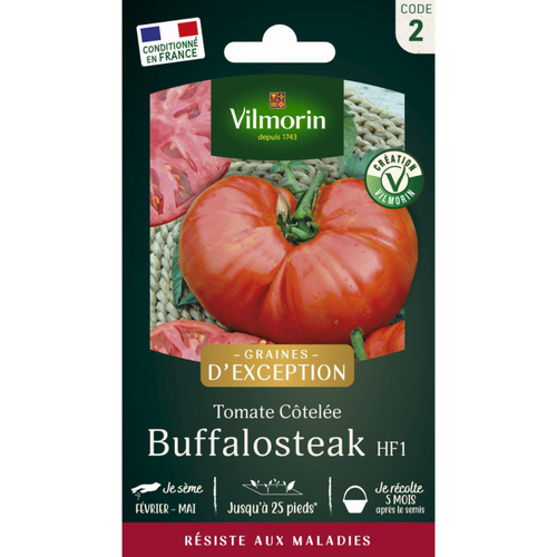Visuel 1 du produit Sachet de semences potagères graines de tomate Buffalo Steak HF1 Graines d'Exception