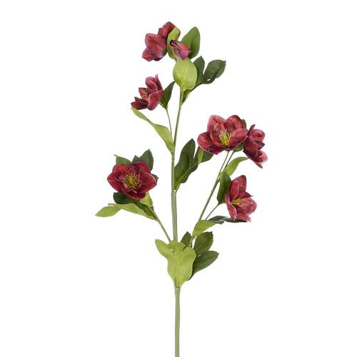 Visuel 1 du produit Tige artificielle d’hellébore en polyester bordeaux - 80 cm