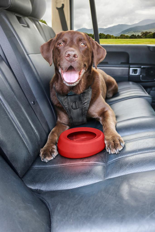 Visuel 3 du produit Bol anti-débordement pour chien coloris rouge Kurgo Splash - 22,8 x 18 x 7,6 cm