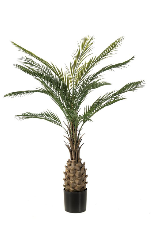 Visuel 1 du produit Palmier artificiel vert résistant aux UV - Ø 90 x H 150 cm