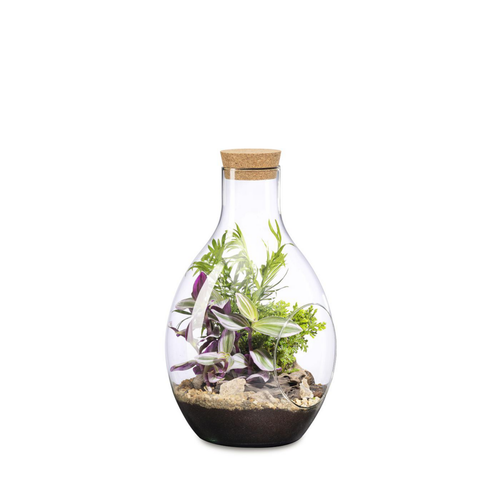 Visuel 1 du produit Terrarium Garden Flor M Naturalys - Ø 24,5 x 36,5 cm