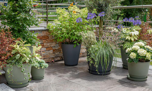 Visuel 1 du produit Soucoupe gris anthracite pour pot Poetic Joy 35 - Ø 26,6 x H 3,4 cm