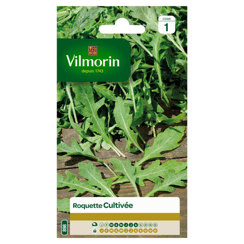 Visuel 1 du produit Roquette Cultivée Vilmorin - graines à semer