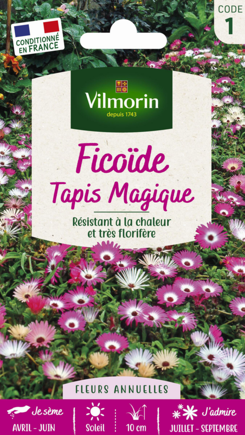 Visuel 1 du produit Ficoïde Tapis Magique Vilmorin - graines à semer