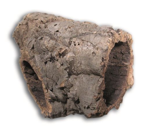 Visuel 2 du produit Décor pour terrarium coloris marron tube en liège variés Aquavie - 30 à 60 cm