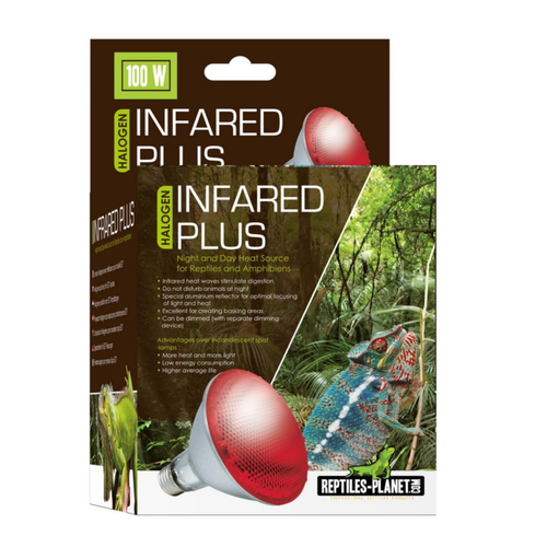 Visuel 1 du produit Lampe infrarouge pour terrarium Reptile Planet Infrared Plus Halogène 100W