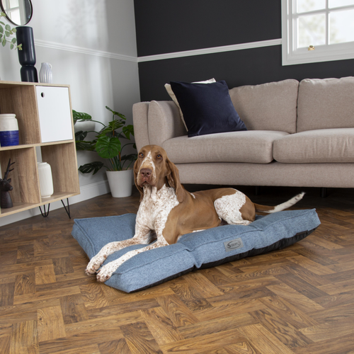 Visuel 6 du produit Coussin pour chien Manhattan bleu Scruffs - Taille L
