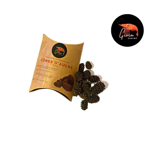 Visuel 1 du produit Cônes d'Aulne pour les crevettes d'aquarium Gioiashrimp – boîte de 20