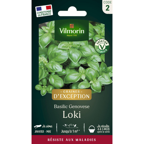 Visuel 1 du produit Sachet de semences potagères graines de basilic genovese loki