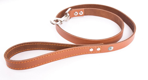 Visuel 1 du produit Laisse pour chien en cuir coloris cognac orange Martin Sellier Flash - Taille 19/100
