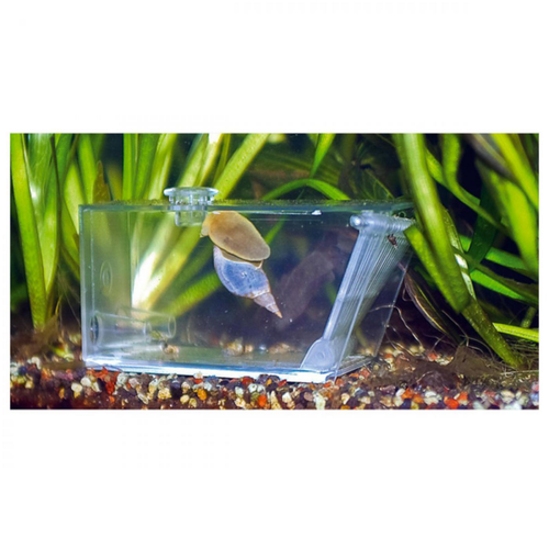 Visuel 3 du produit Piège à escargots, AQUA MEDIC Trap-Pest