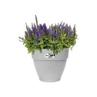 Visuel 4 du produit Pot vibia campana rond Elho de 6,5 L coloris gris Ø 25 x H 21 cm