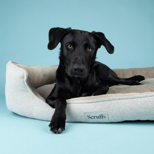 Visuel 4 du produit Couchage orthopédique pour chien coloris marron Scruffs Harvard - Taille XXL 110 x 82 x 22 cm