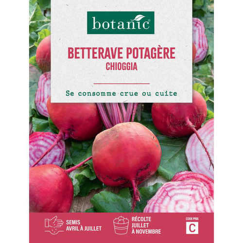 Visuel 1 du produit Graines de Betterave potagère Chioggia botanic® - graines à semer