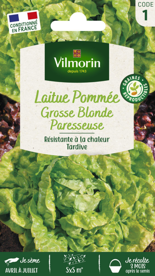 Visuel 1 du produit Laitue Pommée Grosse Blonde Paresseuse Vilmorin - graines à semer