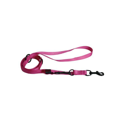 Visuel 1 du produit Laisse chien dressage 3pt 20mm / 200cm rose