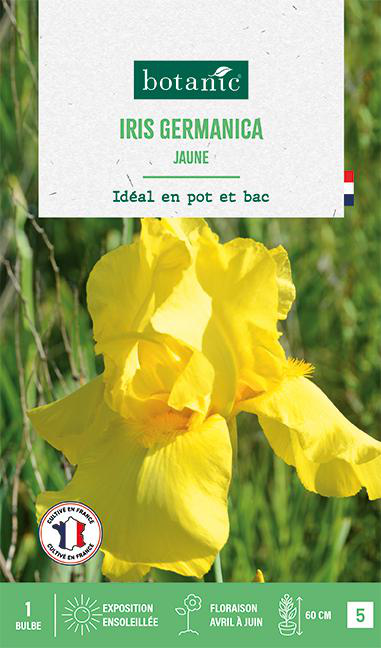 Visuel 1 du produit Bulbe de fleurs Iris Germanica jaune botanic® - 1 bulbe