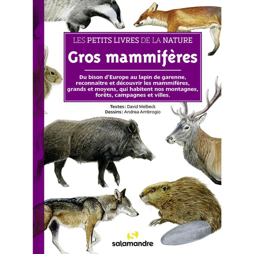 Visuel 1 du produit Le livre " Les petits livres de la nature - gros mammifères " aux Éditions Salamandre